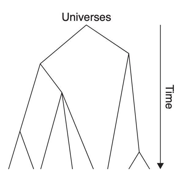 Quantum decoherence tree